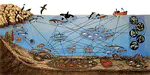 Network Analysis Can Detect Changes In Food Web Stability Produced By Bottom Trawl Fishery In Patagonia