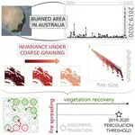 The Emergence of Scale-Free Fires in Australia