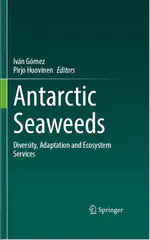 Production and Biomass of Seaweeds in Newly Ice-Free Areas: Implications for Coastal Processes in a Changing Antarctic Environment